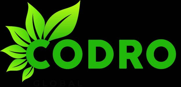 Codro Global Supply Limited