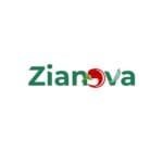 Zianova Global Limited